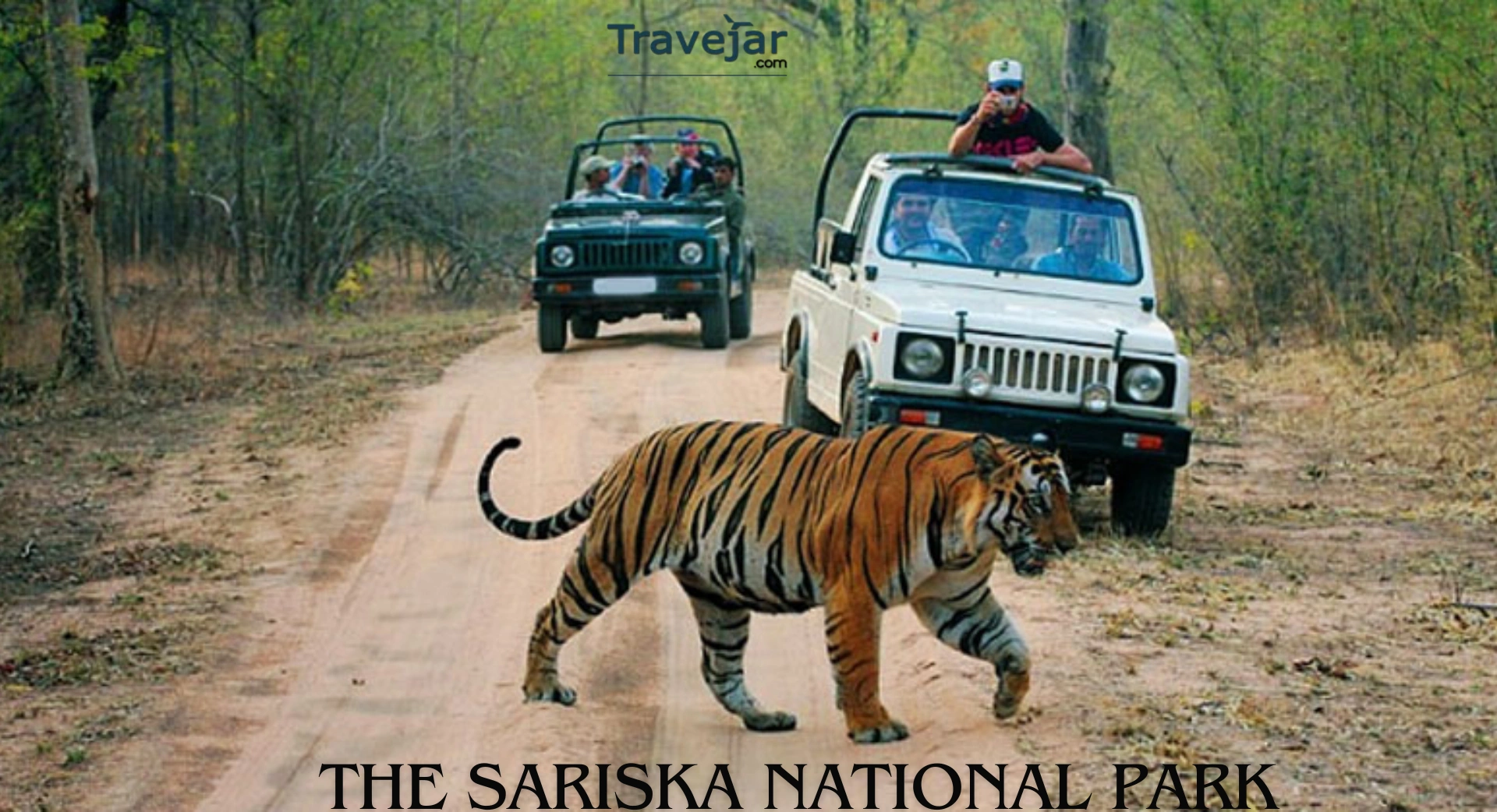 The Sariska National Park